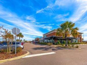 Sunny day at a shopping center with palm trees and parked cars.