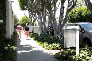 Walkway lined with trees and restaurant signage.