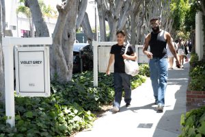Two men walking down a sidewalk lined with trees.