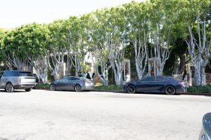 Luxury cars parked on a street lined with lush trees.